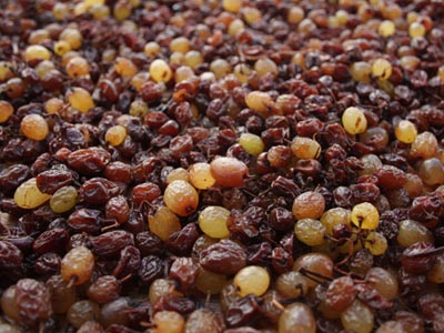 Κατάσχεση κρέατος και σταφίδας συνολικού βάρους 100 κιλών