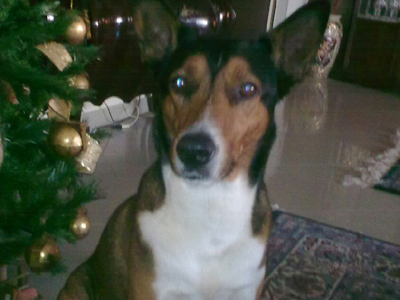 Χάθηκε ο Ρούντι