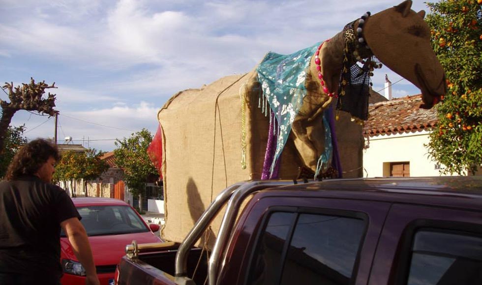 Μία καμήλα στη Χαλκίδα!