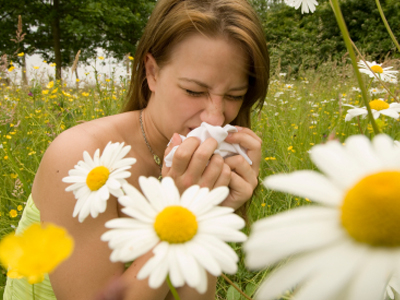 Τα είδη των αλλεργιών της άνοιξης