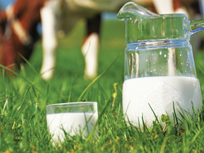 Ποια πρωτεΐνη του αγελαδινού γάλακτος ευθύνεται για γαστρεντερικές διαταραχές;