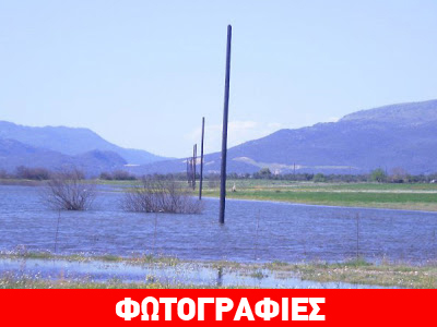 Κολώνες της ΔΕΗ στη λίμνη Αμβρακίας Κολώνες της ΔΕΗ στη λίμνη Αμβρακίας