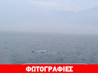 Βουτιά θανάτου  στη λίμνη Παμβώτιδα