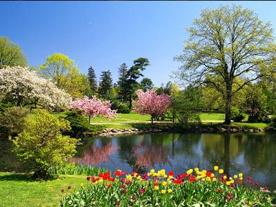 Αρχίζει από σήμερα επίσημα η Άνοιξη στο βόρειο ημισφαίριο