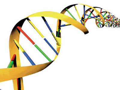 H διατροφή μας επηρεάζει το DNA;