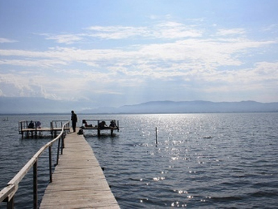 Δηλητηριώδη φυτοφάρμακα σε λίμνες της Β. Ελλάδας