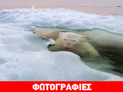 Η νικητήρια φωτογραφία του «National Geographic» για το 2013