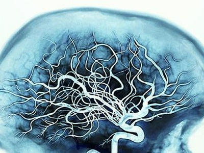 Πες μου τι ψηφίζεις, να σου πω για τον… εγκέφαλό σου!