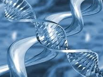 Τι είναι οι ελεύθερες ρίζες