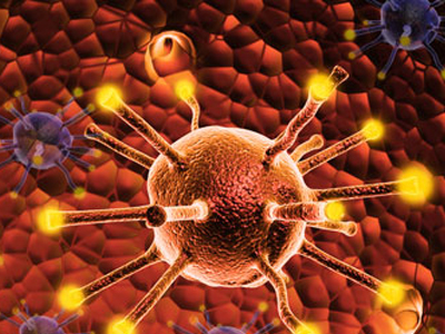 Οι ελεύθερες ρίζες δεν είναι πάντα βλαβερές