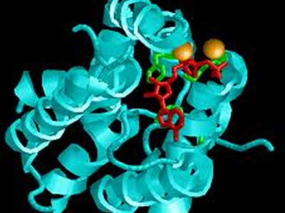 «Μπλόκο» σε ένζυμο που προκαλεί μεταστάσεις