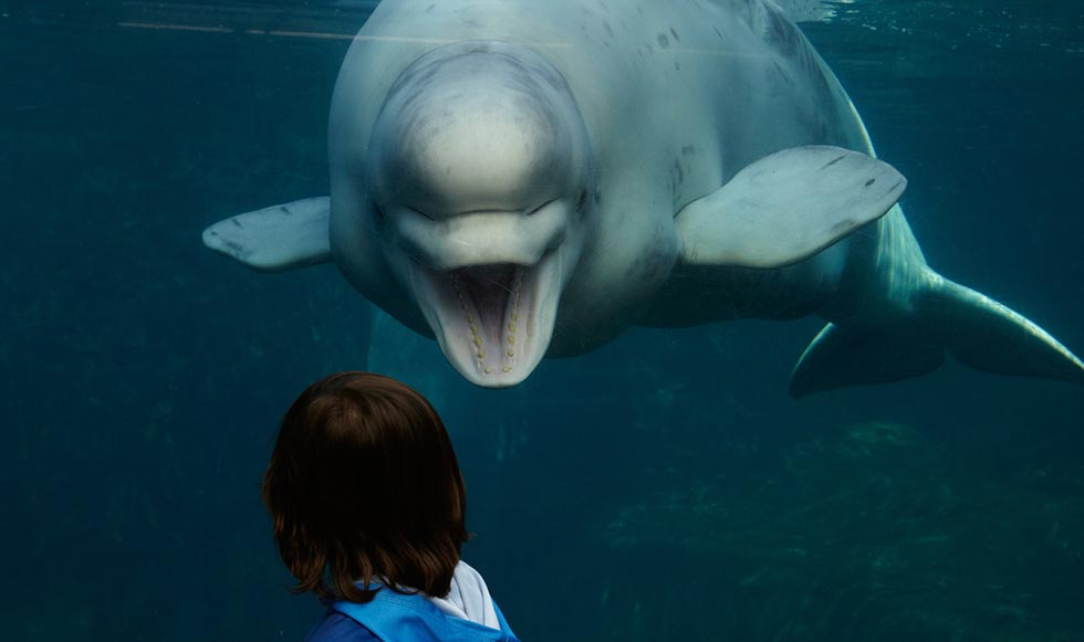 Κολύμπι μετά… μουσικής!