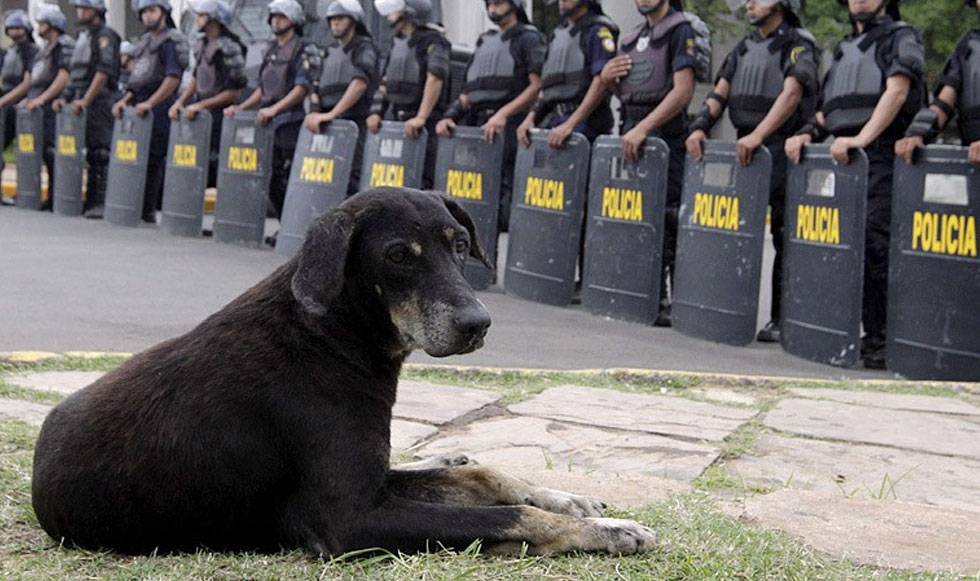 Ο φίλος του «Λουκάνικου»