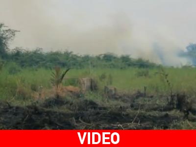 Οι δασικές πυρκαγιές και το νέφος της Ινδονησίας