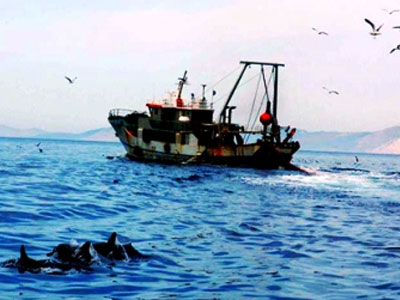 Ανάκληση της απαγόρευσης αλιείας στον Έβρο