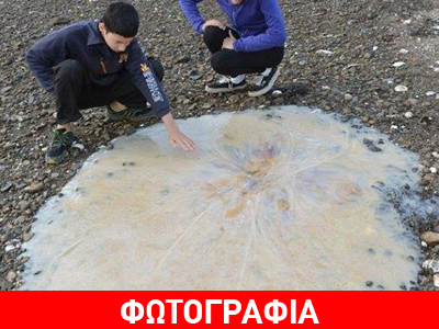 Μυστήριο με τεράστια μέδουσα στην Αυστραλία