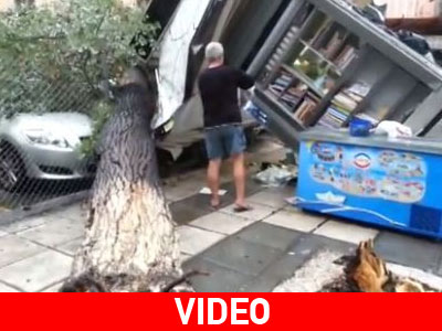 Δέντρο ξεριζώθηκε και καταπλάκωσε περίπτερο