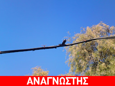 Κίνδυνος δίπλα σε παιδική χαρά