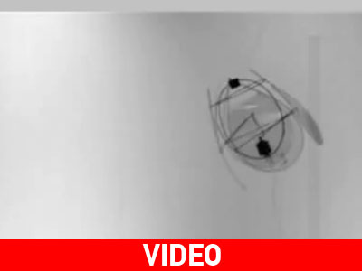 Ρομποτικό «πουλί» πετά σαν… μέδουσα!