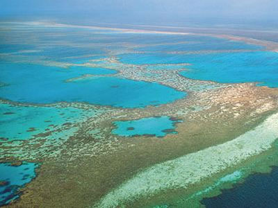 SOS για τους κοραλλιογενείς υφάλους στην Αυστραλία