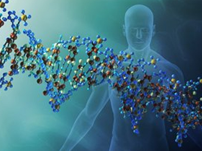 Επιλέγουμε φίλους βάσει… γονιδίων;