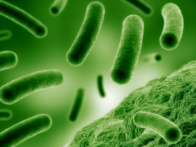 Εντοπίστηκε στέλεχος της βλεννόρροιας ανθεκτικό στα αντιβιοτικά