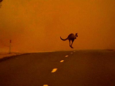 Ανησυχία επιστημόνων για την υψηλή θερμοκρασία στην Αυστραλία