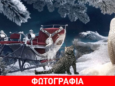 Ο οίκος Cartier κλείνει… τα εκατό!