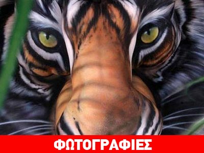 Βλέπεις μία τίγρη; Για δες καλύτερα!