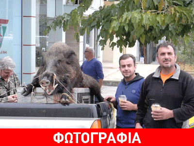 Κυνηγοί σκότωσαν κάπρο 200 κιλών
