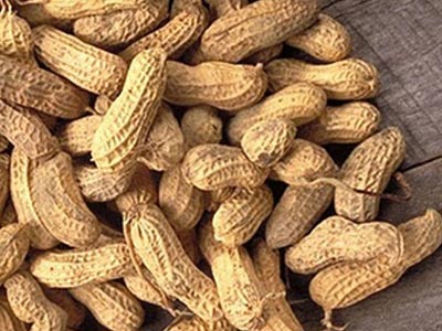 Απαγόρευση εισαγωγής φορτίων φιστικιού και ανανά