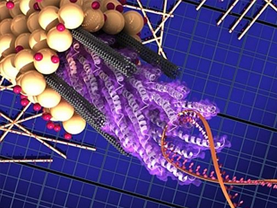 Παράγουν ηλεκτρική ενέργεια από… ιούς!