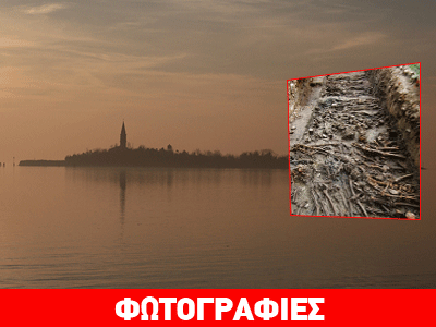 Το νησί του τρόμου…