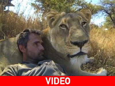 Ο γητευτής των λιονταριών
