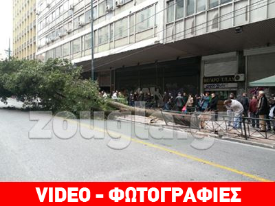 Τραυματίας από πτώση δέντρου στη Σταδίου