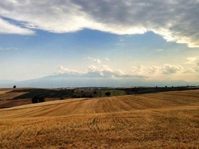 Ψηφίζουμε Όλυμπο!
