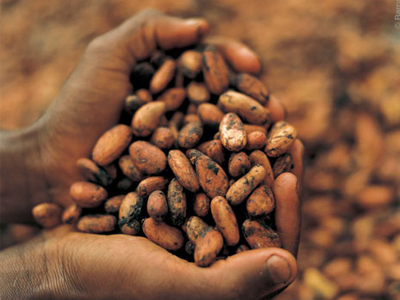 Κακάο για… αντιγήρανση