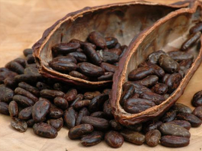 Οι ευεργετικές ιδιότητες του κακάο