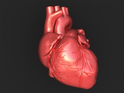 Θα μπορούμε να… αναγεννάμε την καρδιά μας;