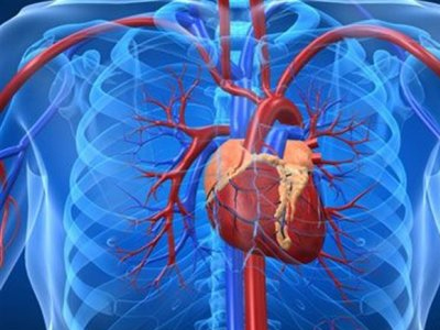 Πρόβλεψη καρδιακού επεισοδίου