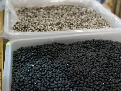 Τροφές που ωφελούν την καρδιά