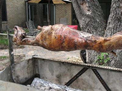 Αρνί… ή κατσίκι; Αρνί… ή κατσίκι;