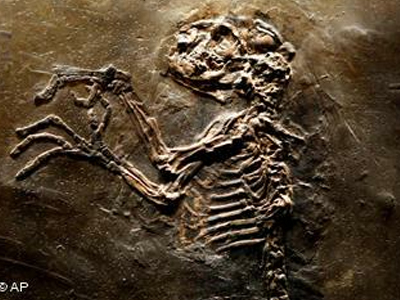 Τροπικό κλίμα και ελέφαντες… στη Γερμανία