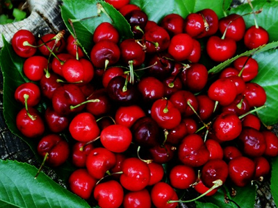 Μικρογεύματα της άνοιξης