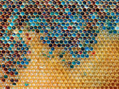 Γαλλικό πολύχρωμο μέλι!