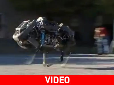 Η Google εξαγόρασε την εταιρεία που κατασκεύασε το Cheetah