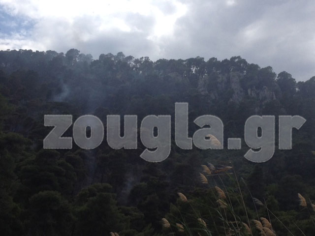 Πυρκαγιά σε πευκοδάσος στο Αλεποχώρι