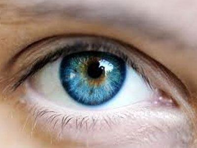 Έρευνα για θεραπεία της τύφλωσης με βλαστοκύτταρα Έρευνα για θεραπεία της τύφλωσης με βλαστοκύτταρα