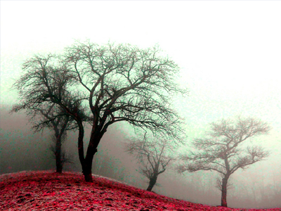 Σε τι χρησιμεύουν τα όνειρα;