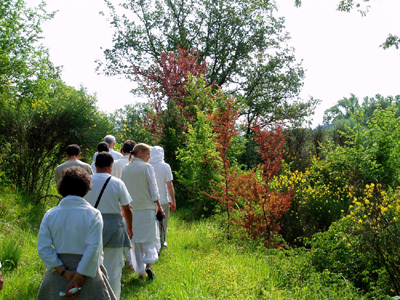 Οι περίπατοι στην φύση βελτιώνουν την μνήμη Οι περίπατοι στην φύση βελτιώνουν την μνήμη